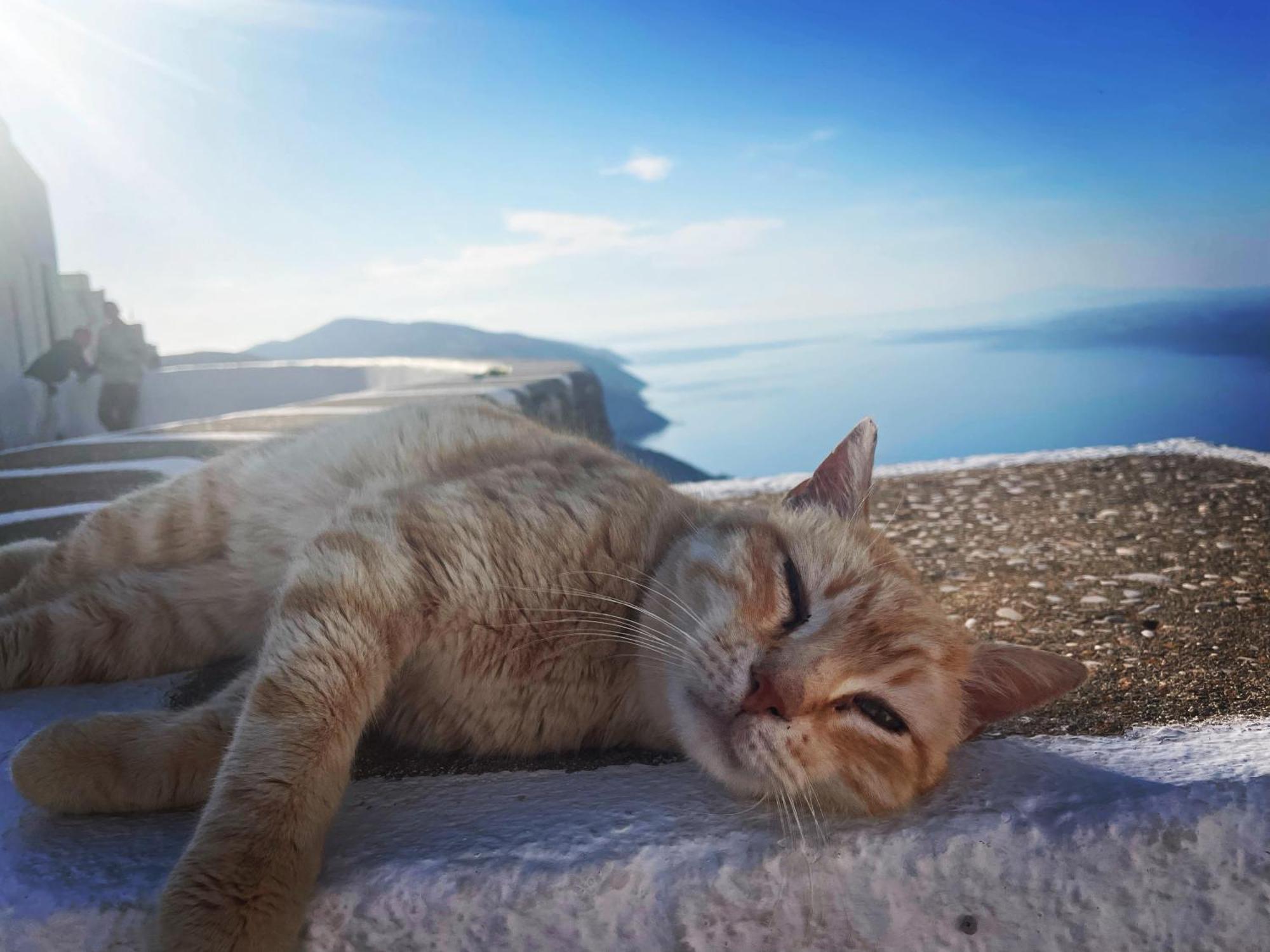 Вилла Folegandros-Cliffhouse Экстерьер фото