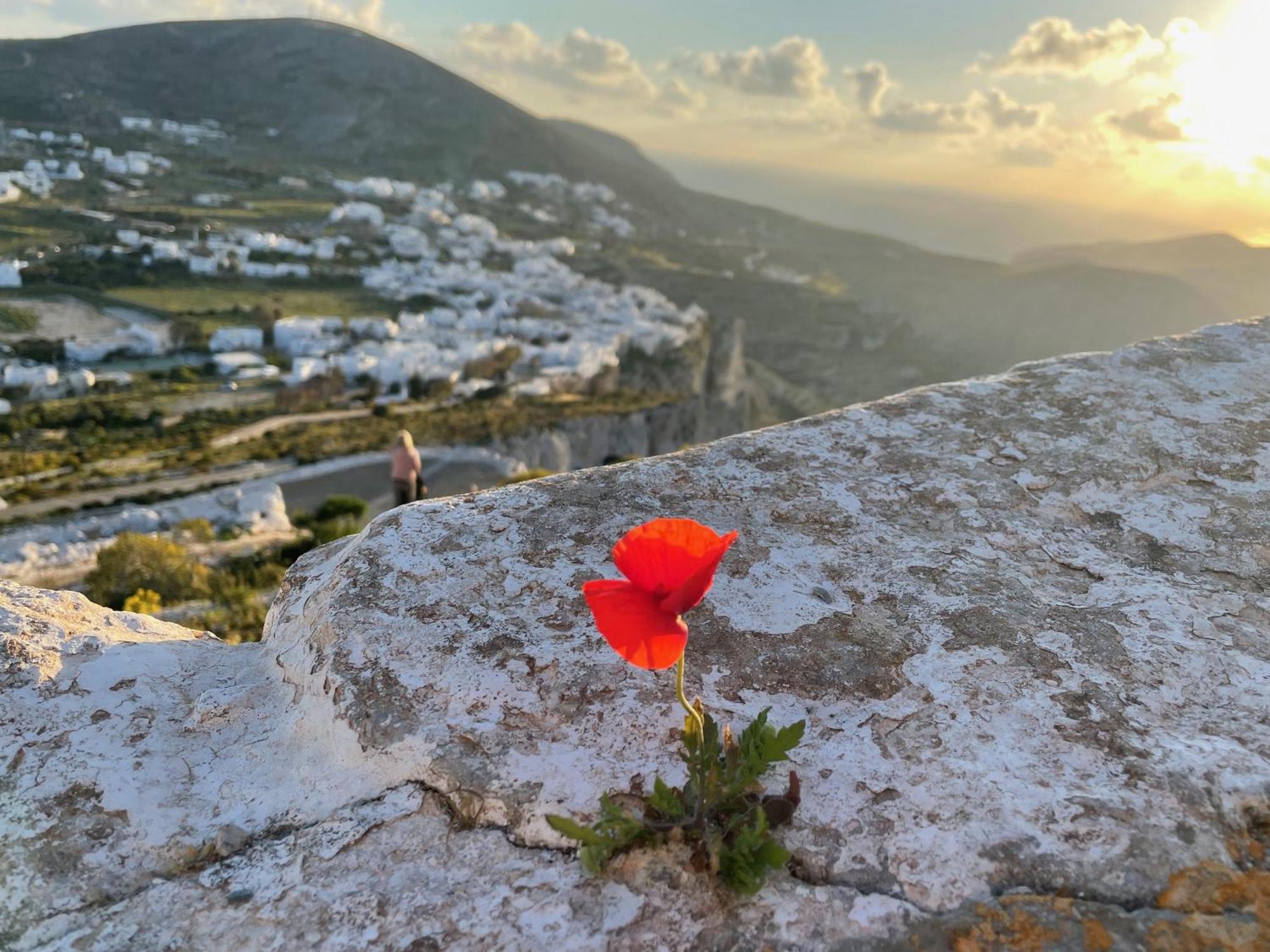 Вилла Folegandros-Cliffhouse Экстерьер фото